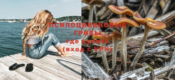твердый Армянск