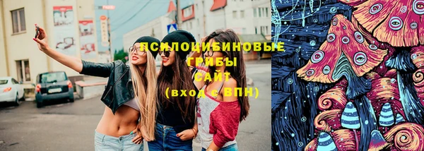 твердый Армянск