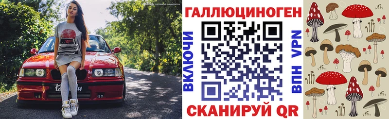 Купить  Фурманов  Псилоцибиновые грибы Psilocybine cubensis 